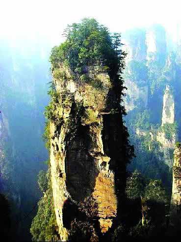 張家界國家地質(zhì)森林公園、黃石寨、金鞭溪休閑一日游