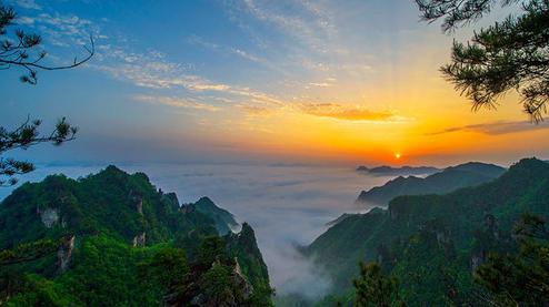 張家界森林公園（金鞭溪、袁家界、楊家界、天子山、十里畫廊）住山上2天1游（可看日出）